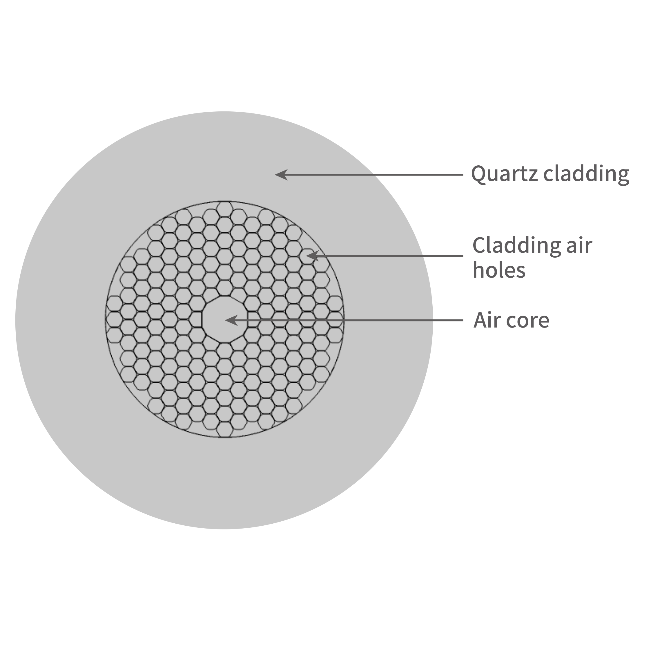 Hollow-core Photonic Crystal Fibers