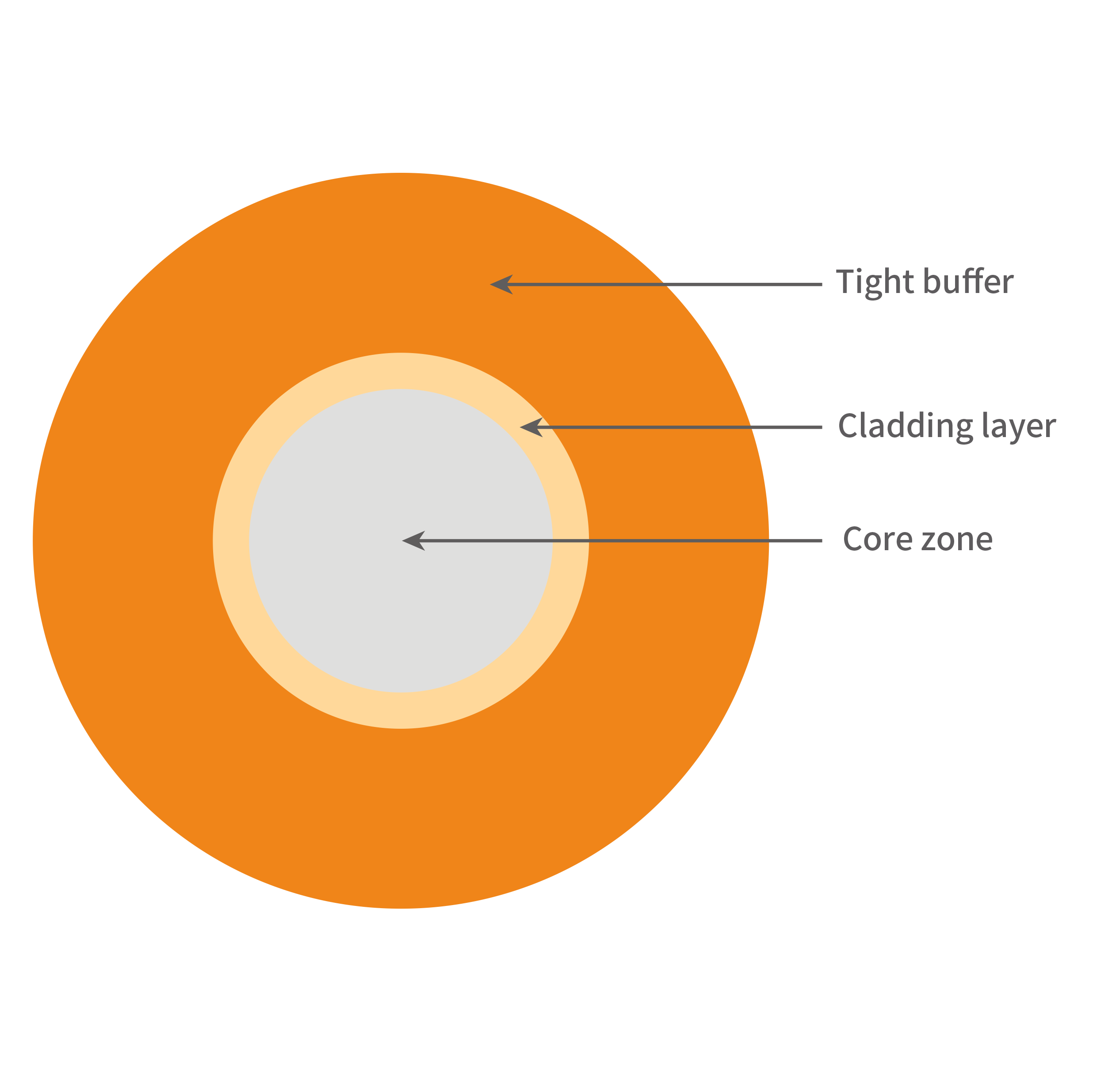 Polymer Cladding Large-core Fibers